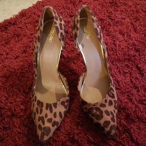 Leopard heels / never worn
